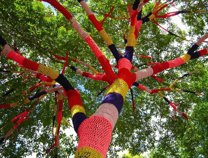 Деревья, одетые в вязаные «свитера», - достопримечательность города Кливленд-Хайтс в США