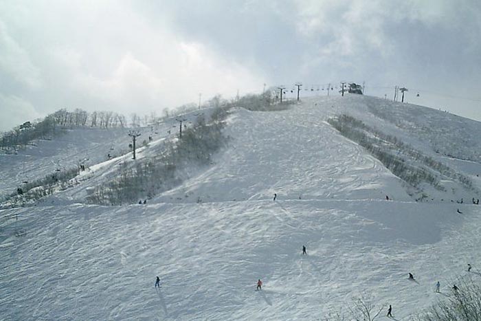 Хакуба является одним из самых популярных горнолыжных курортов Японии. Фото: Famifamifami/commons.wikimedia.org