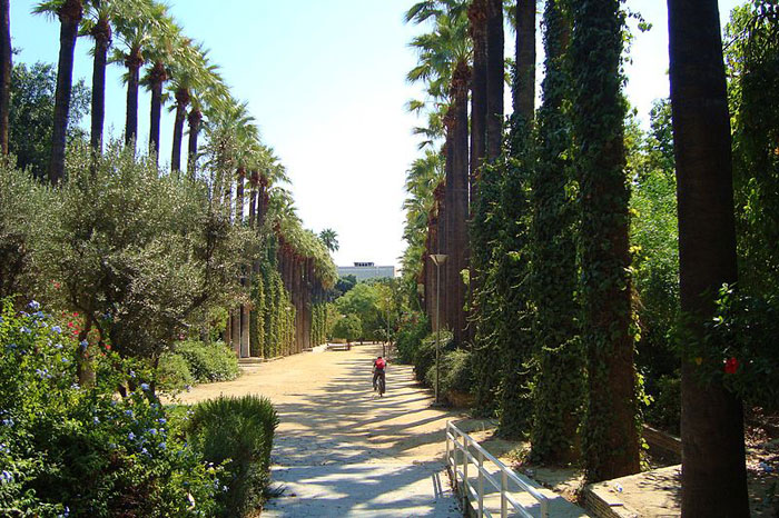 Исторический муниципальный сад, Никосия. фото: сommons.wikimedia.org