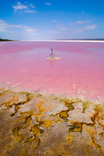 Розовое озеро Хиллер в Австралии — предел мечтаний