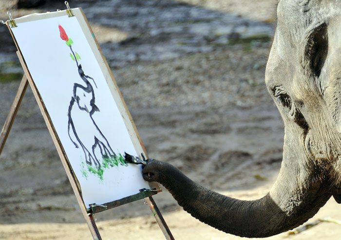Слоны - символ и гордость Таиланда. Фото: PHILIPPE HUGUEN/AFP/Getty Images 