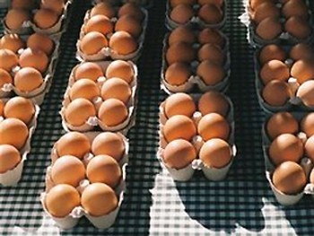 В США возвращают из продажи сотни миллионов яиц