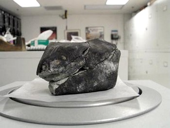 Пробивший крышу дома метеорит. Фото Linda Welzenbach/Smithsonian National Museum of Natural History