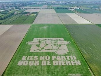 В Нидерландах поле засеяли рекламой