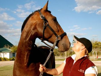 Лошадь Луситано: Тренер Хэзер Бендер демонстрирует великолепную лошадь до начала аукциона. (Мириам Моран)