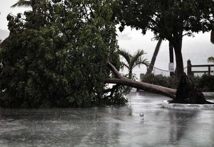 Тропический шторм «Айзек» приближается к южному побережью США