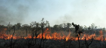 Огненный торнадо пронесся по Бразилии