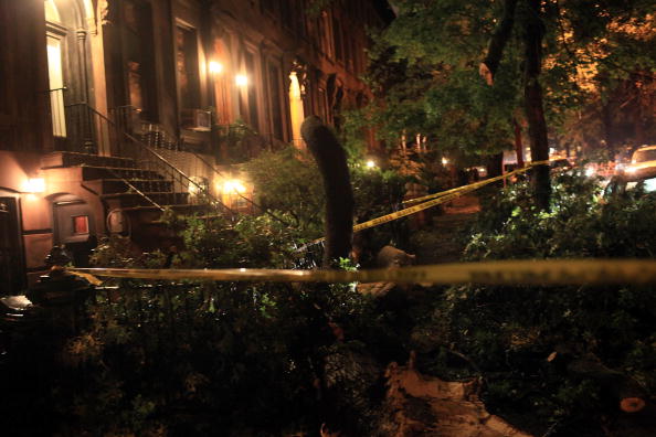 Ураган в  Нью-Йорке.  За рулем автомобиля погибла женщина, пять человек пострадали