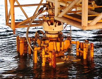 «Мертвая зона» в Мексиканском заливе обнаружена рядом с местом разлива нефти