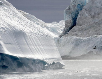Таяние льдов в Арктике ускоряется.Фото:Getty.