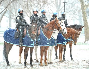 Полицейский патруль в Вашингтоне на службе даже в снежную бурю. Фото: KAREN BLEIER/AFP/Getty Images