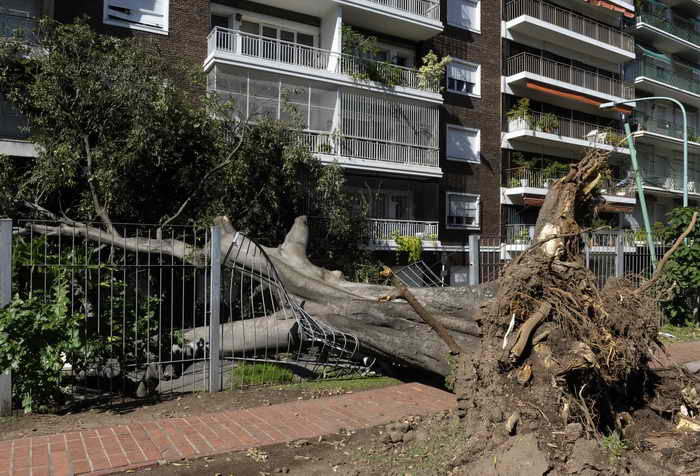  После сильной бури в столице Аргентины Буэнос-Айресе. Фото: JUAN MABROMATA/AFP/Getty Images