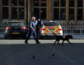 Полиция на территории Вестминстерского аббатства. Фото: DIMITAR DILKOFF/AFP/Getty Images