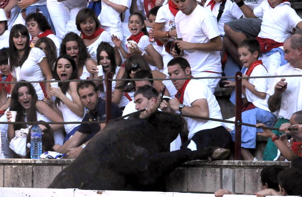 В испанском городе Тафалла бык покалечил 30 человек