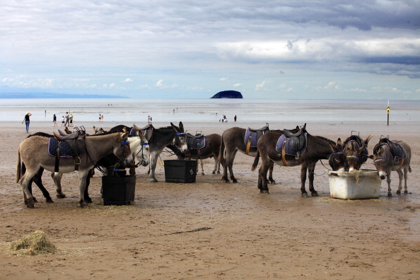 Фоторепортаж с пляжей Уэстон-Супер-Маре в Англии. Фото: Matt Cardy/Getty Images