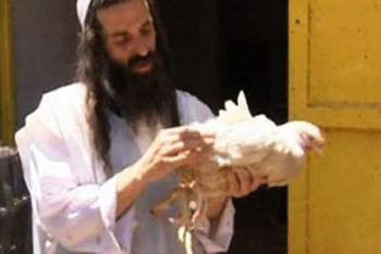 Четырехногая курица озадачила раввинат в Иерусалиме. Фото с сайта cursorinfo.co.il 