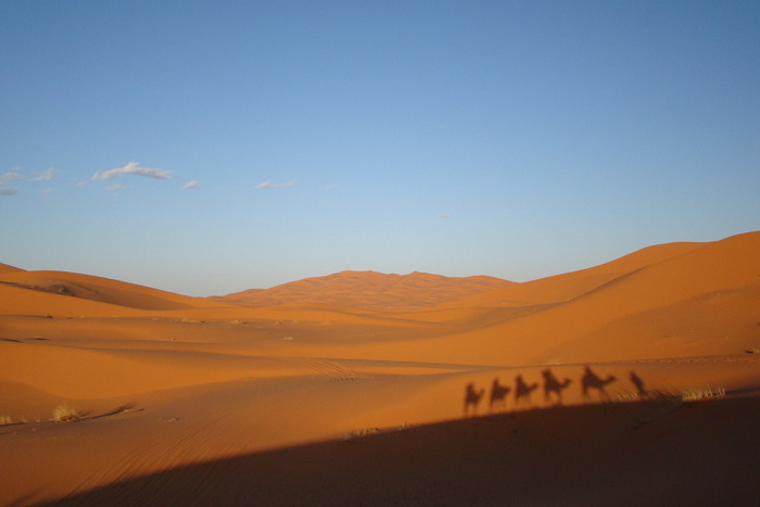 Пустыня Сахара. Фото: Brandon Prince/flickr.com 