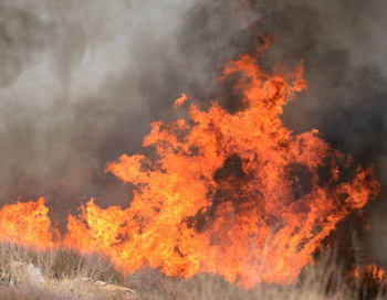 Крупный лесной пожар бушует в штате Айдахо в США
