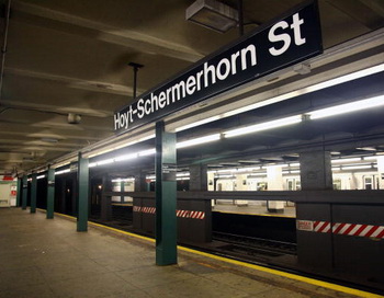 Котята парализовали движение поездов в метро Нью-Йорка