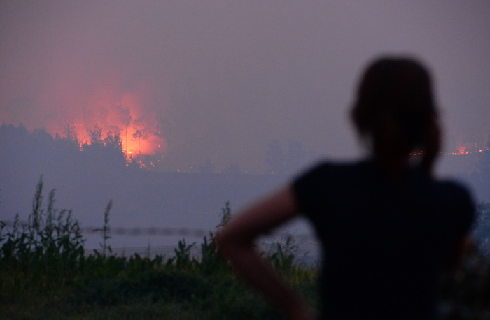 Жительница Сиднея смотрит на приближающийся огонь 10 сентября 2013 года. Фото: SAEED KHAN/AFP/Getty Images