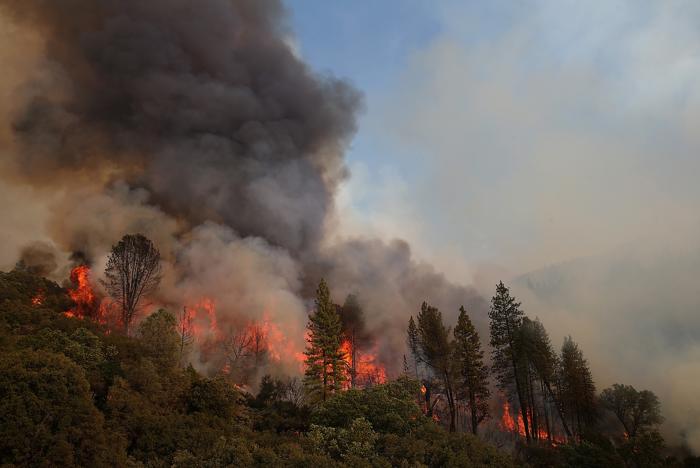 Пожар в Калифорнии приблизился к национальному парку