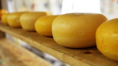 Этот удивительный сыр «Рокфор»
