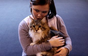 Кошки помогают хозяевам избавиться от недуга