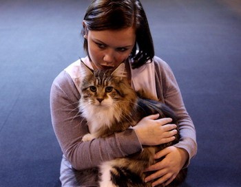 Кошки помогают хозяевам избавиться от недуга. Фото: Oli Scarff/Getty Imagess) | Epoch Times Россия