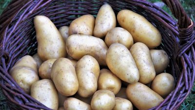 Картофельные «веера» в сыре