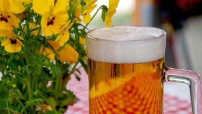 Пиво и квас — древние напитки из зерновых