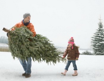 Выбирайте ту елку, которая принесет вам и вашим близким радость в новогодний праздник. Фото: Getty Images | Epoch Times Россия