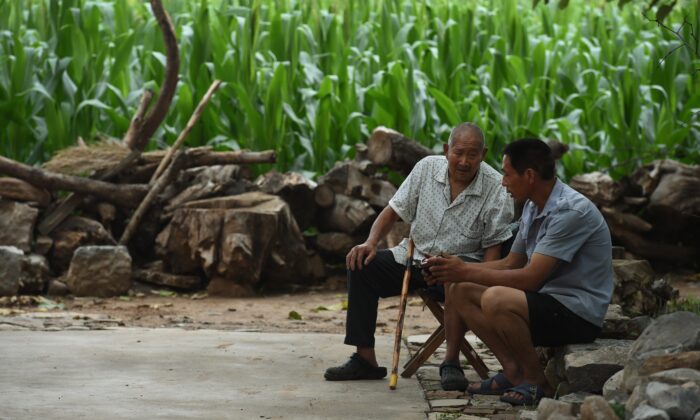 Two men listen to a portable radio near a corn field in Weijian village, in China's Henan province on July 30, 2014. Projections show that 350 million Chinese -- one in four of the population -- will be aged 60 or older by 2030, almost twice as many as now.  AFP PHOTO/Greg BAKER        (Photo credit should read GREG BAKER/AFP/Getty Images) | Epoch Times Россия