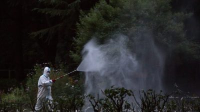 В южном Китае бьёт рекорды лихорадка денге