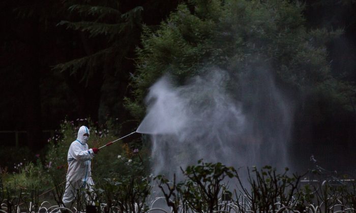 Распыление пестицидов при лихорадке денге. Фото: Крис МакГрат / Getty Images | Epoch Times Россия