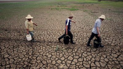 Засуха в Китае может стимулировать рост количества продуктов с ГМО