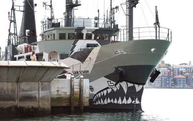Один из кораблей организации Sea Shepherd. Фото: WILLIAM WEST/AFP/Getty Images | Epoch Times Россия