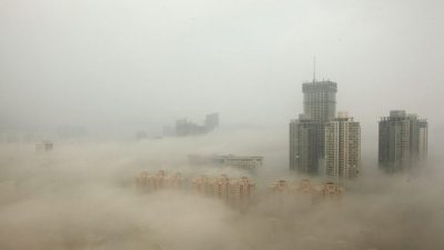 Гибель лесов из-за смога в Китае может повлиять на другие страны