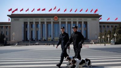 Публикация дневника китайского чиновника привела к 29 арестам