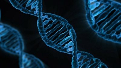 Якутские учёные открыли смертельное генетическое заболевание