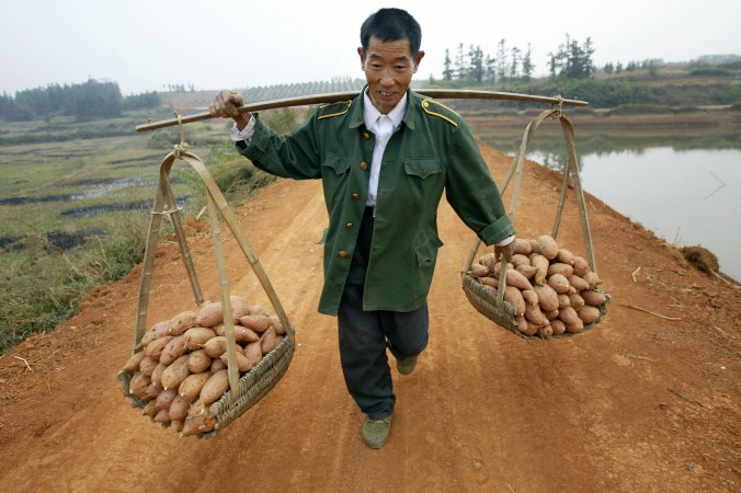 Китайский крестьянин несёт корзины с бататом, 30 октября 2004 г. Фото: FREDERIC BROWN/AFP/Getty Images | Epoch Times Россия