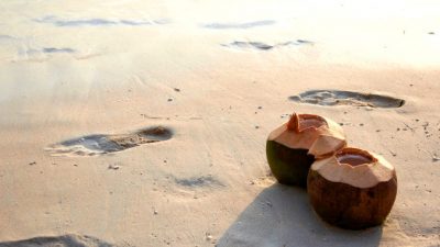 8 причин добавить кокос в диету