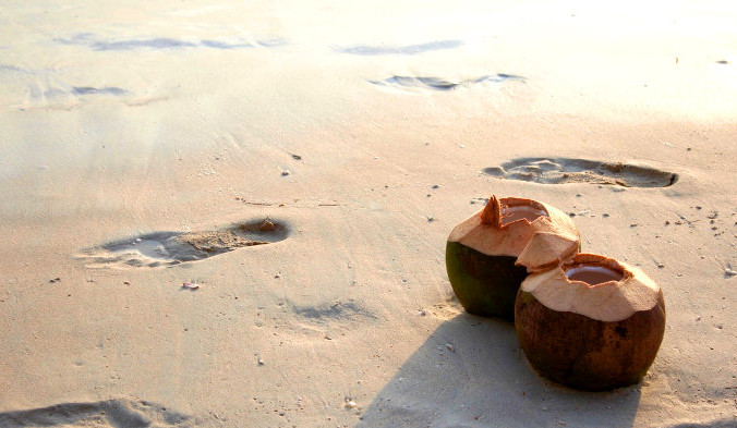 Ботаники считают кокосовый орех волокнистой односеменной «костянкой» (косточковым плодом), с твёрдым косточковым покрытием, окружающим семя. Фото: Peggy_Marco/pixabay/CC0 Public Domain | Epoch Times Россия