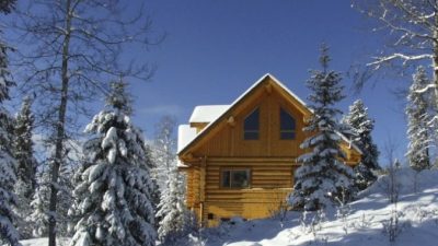 Строительство деревянных домов: доступные виды