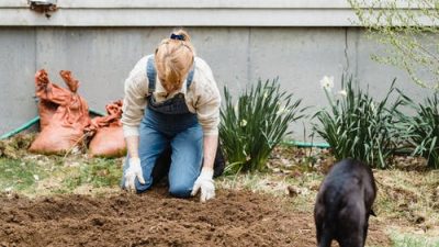 Работа в саду полезна и для тела, и для ума