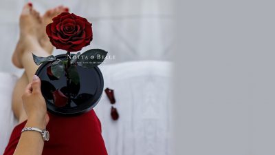 Роза в колбе — новинка в мире флористики