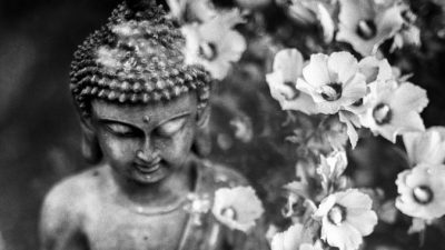 Найдена урна с прахом Будды Шакьямуни?