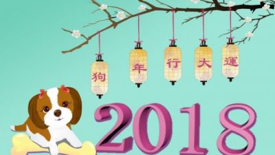 Китайский Новый год 2018. Чего ждать от Жёлтой Собаки?