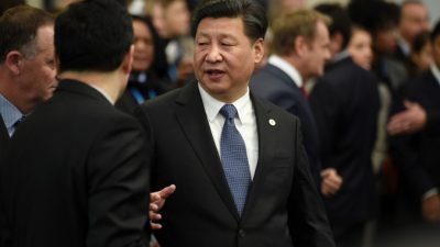 Си Цзиньпин намекнул, кто является его врагами