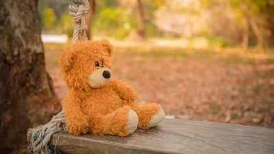 4-летняя девочка несколько месяцев плакала из-за потерянного в лесу плюшевого друга. Игрушка вернулась к ней через 14 лет