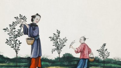 Чему можно научиться у женщин, вырастивших великих людей Китая? Истории великих матерей. (Часть 1. Мать Мэн-цзы)